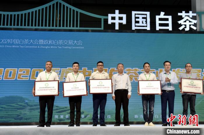 圖為大會(huì)上舉行2020年度中國(guó)白茶產(chǎn)業(yè)發(fā)展示范縣授牌儀式?!∪钯幻?攝 圖為大會(huì)上舉行2020年度中國(guó)白茶產(chǎn)業(yè)發(fā)展示范縣授牌儀式?!∪钯幻?攝