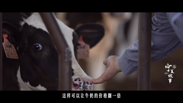 1639116616237246.png 圖片2.png