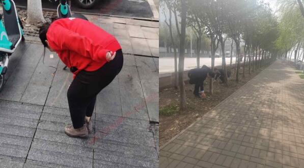 1647588236813568.jpg 1.jpg