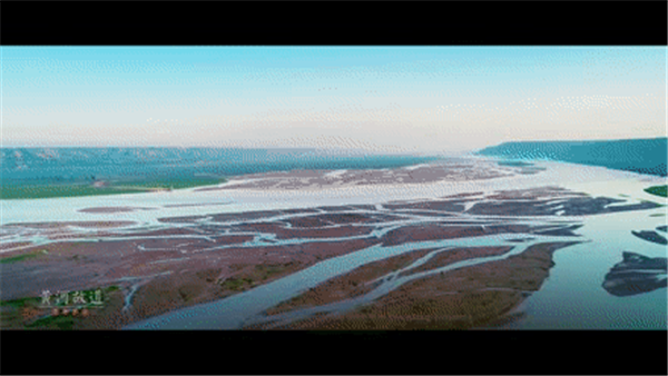 1654852423812481.png 圖片8.png